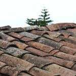 Roof Restoration Contractors