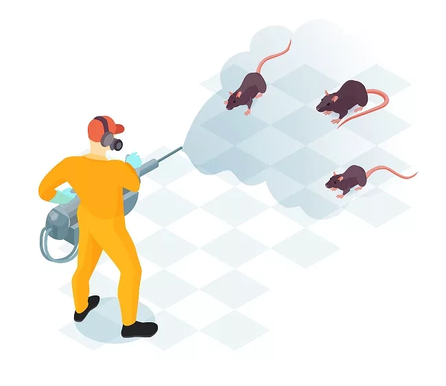 Get Rid of Rats from Your Home