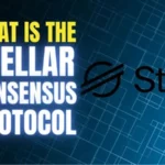 What-is-stellar-consensus-protocol