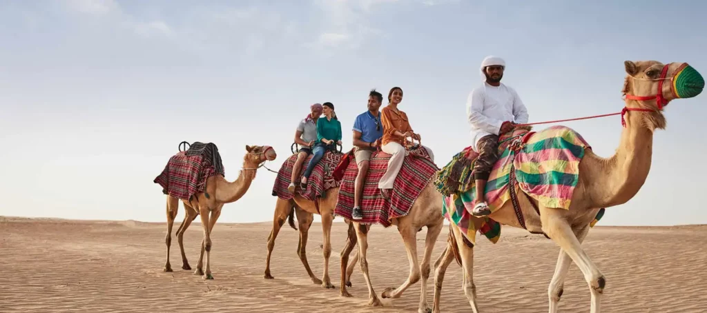 Camel Riding at The Desert Safari