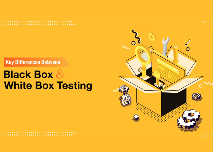 Black Box vs. White Box Testing