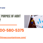 What is the purpose of audit assurance?
